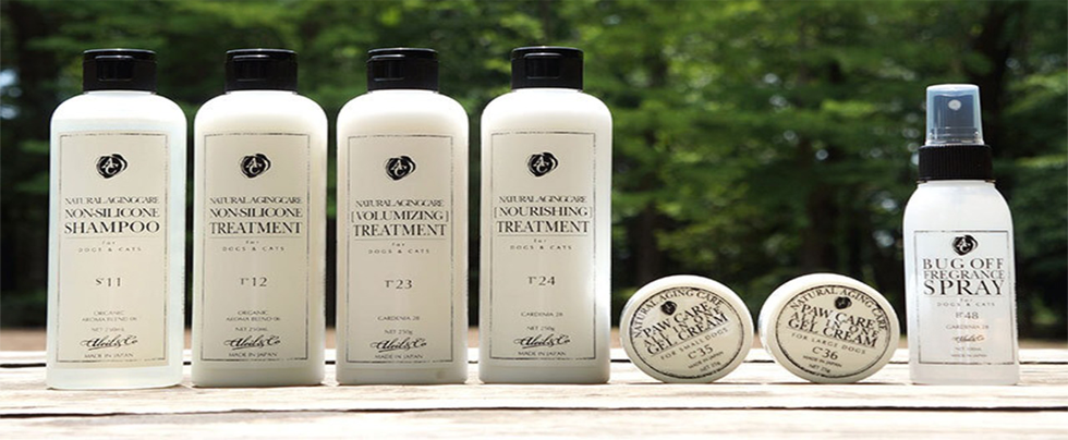 シャンプーの写真