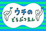 うちの動物園